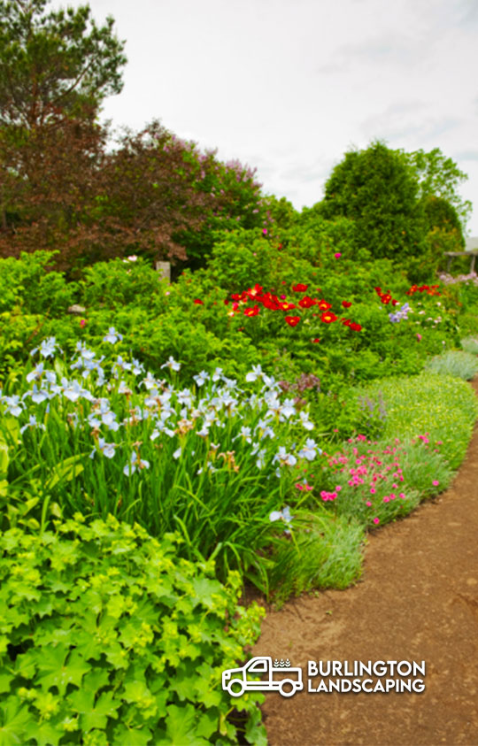 Burlington Landscaping